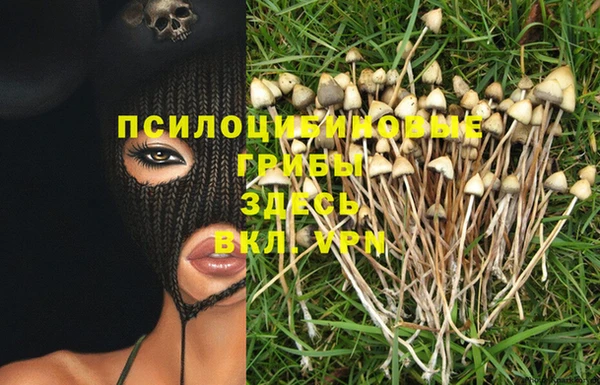 трава Кинешма