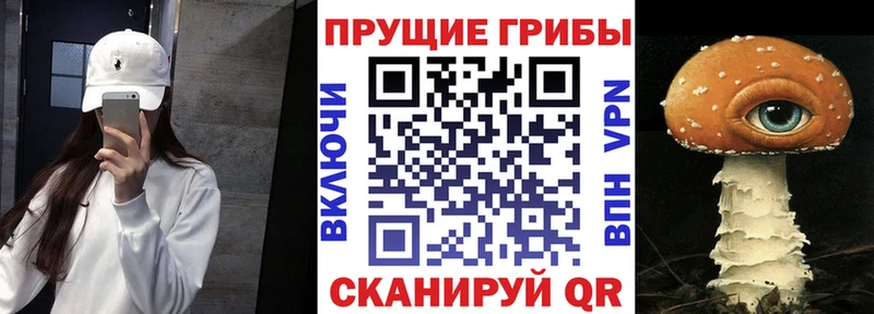 Галлюциногенные грибы Psilocybine cubensis  купить наркоту  Клин 