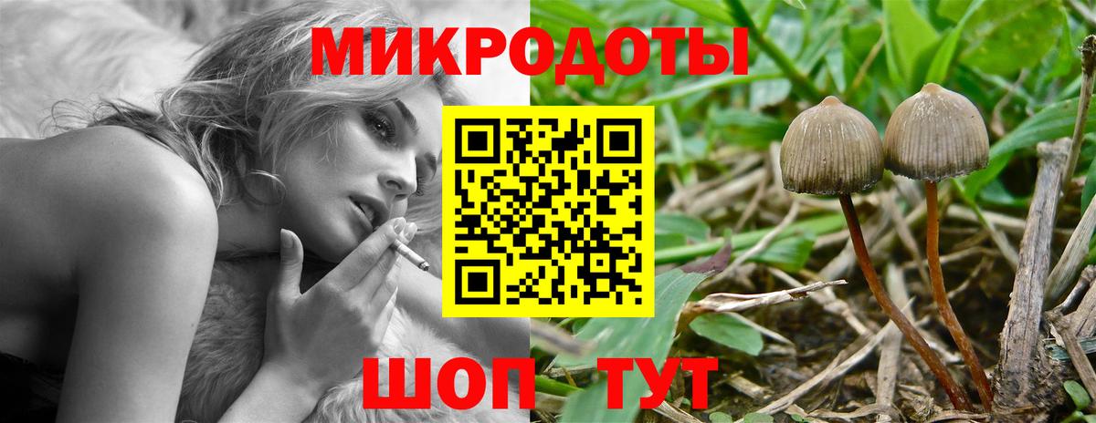 Галлюциногенные грибы мицелий  Вход с VPN  магазин продажи наркотиков  Клин  Галлюциногенные грибы Magic Shrooms 