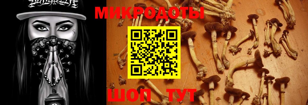 Галлюциногенные грибы MAGIC MUSHROOMS Клин